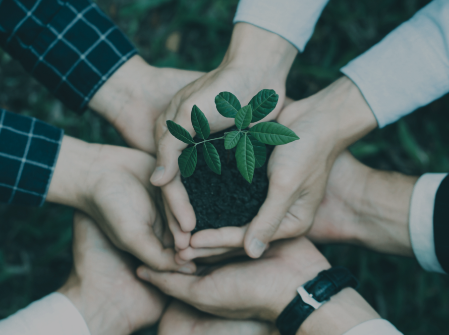 Avenviro sustainability solutions, environmental protection, green infrastructure, and conservation concept with growing plant in soil